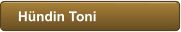 Hndin Toni